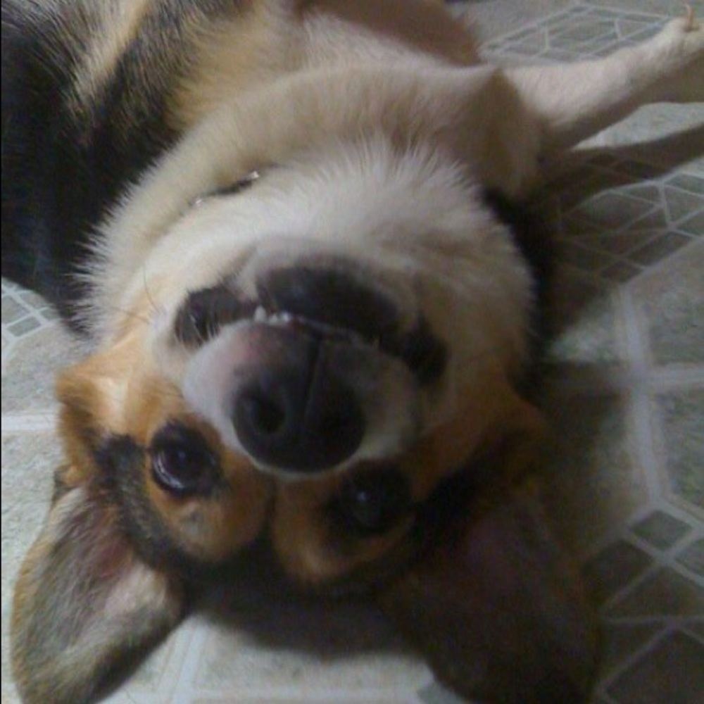 Meet your Posher, Tracii